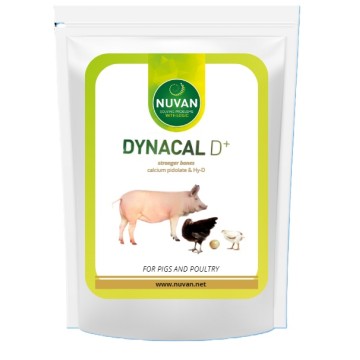 DYNACAL D+ 1,6kg Mineralizacja